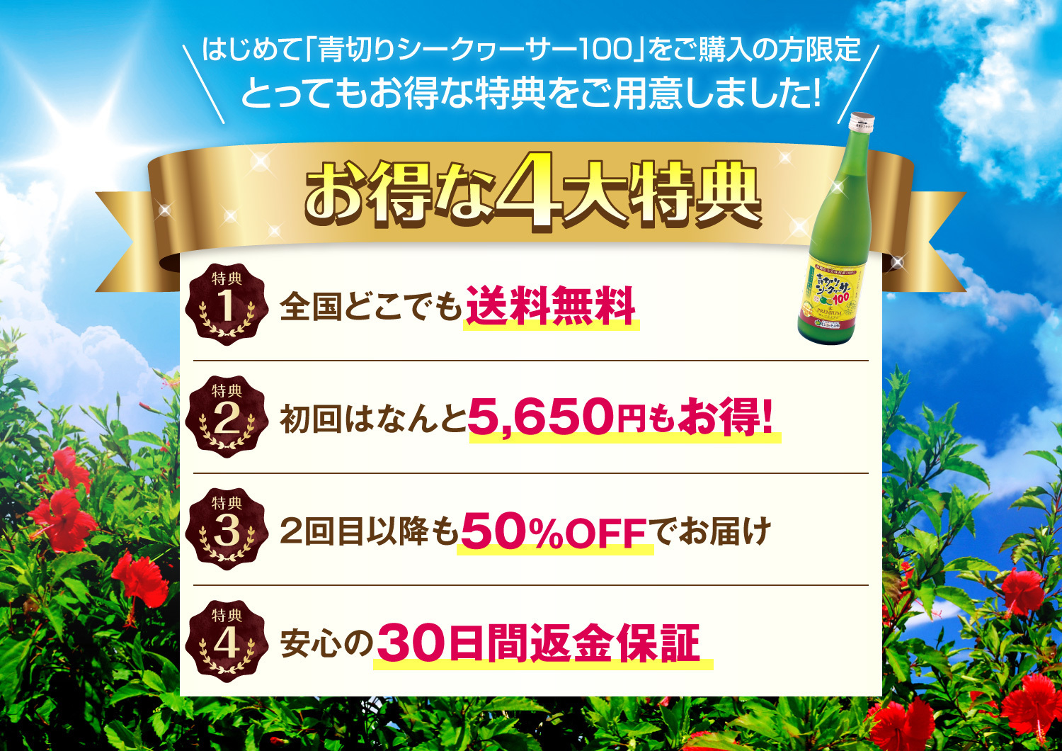 青切りシークヮーサー100プレミアム
