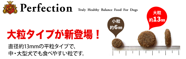 perfection-big2.png